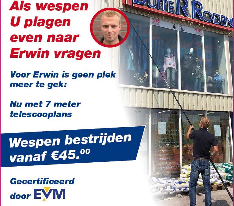 Wespen